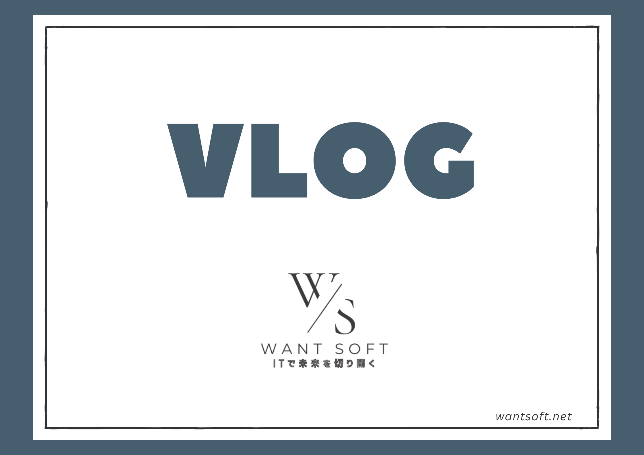 wantsoft_vlog